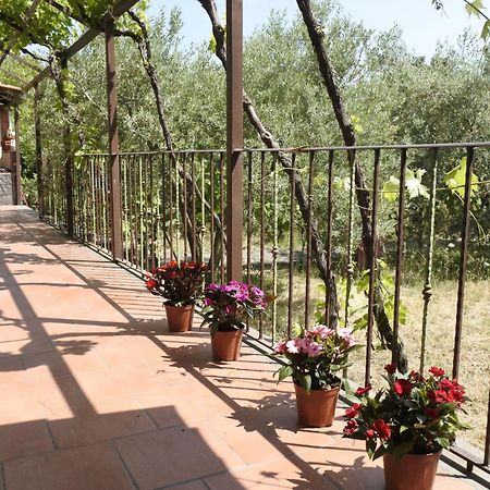 Casa Vacanza Etna Evergreen Villa Piedimonte Etneo Ngoại thất bức ảnh