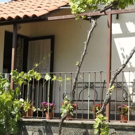 Casa Vacanza Etna Evergreen Villa Piedimonte Etneo Ngoại thất bức ảnh