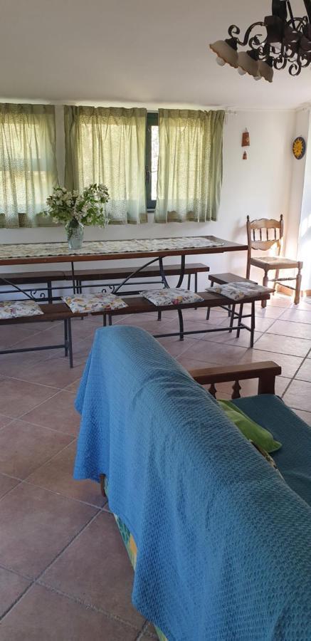 Casa Vacanza Etna Evergreen Villa Piedimonte Etneo Ngoại thất bức ảnh