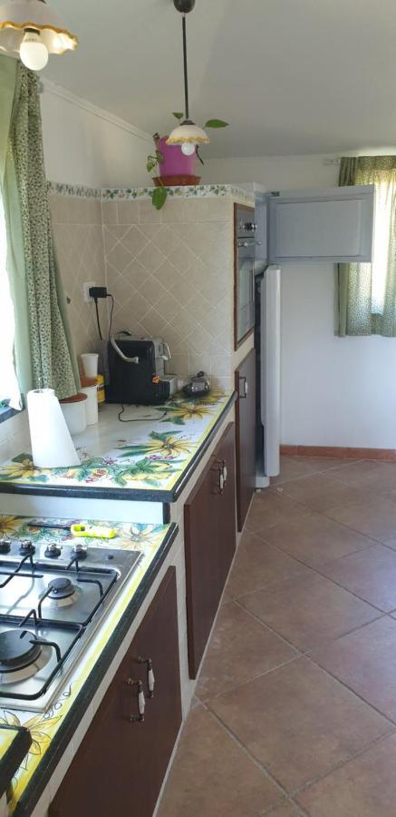 Casa Vacanza Etna Evergreen Villa Piedimonte Etneo Ngoại thất bức ảnh