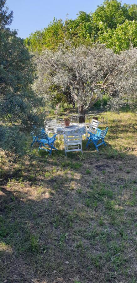 Casa Vacanza Etna Evergreen Villa Piedimonte Etneo Ngoại thất bức ảnh