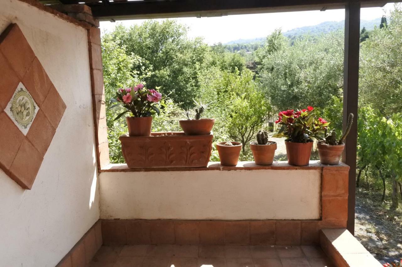 Casa Vacanza Etna Evergreen Villa Piedimonte Etneo Ngoại thất bức ảnh