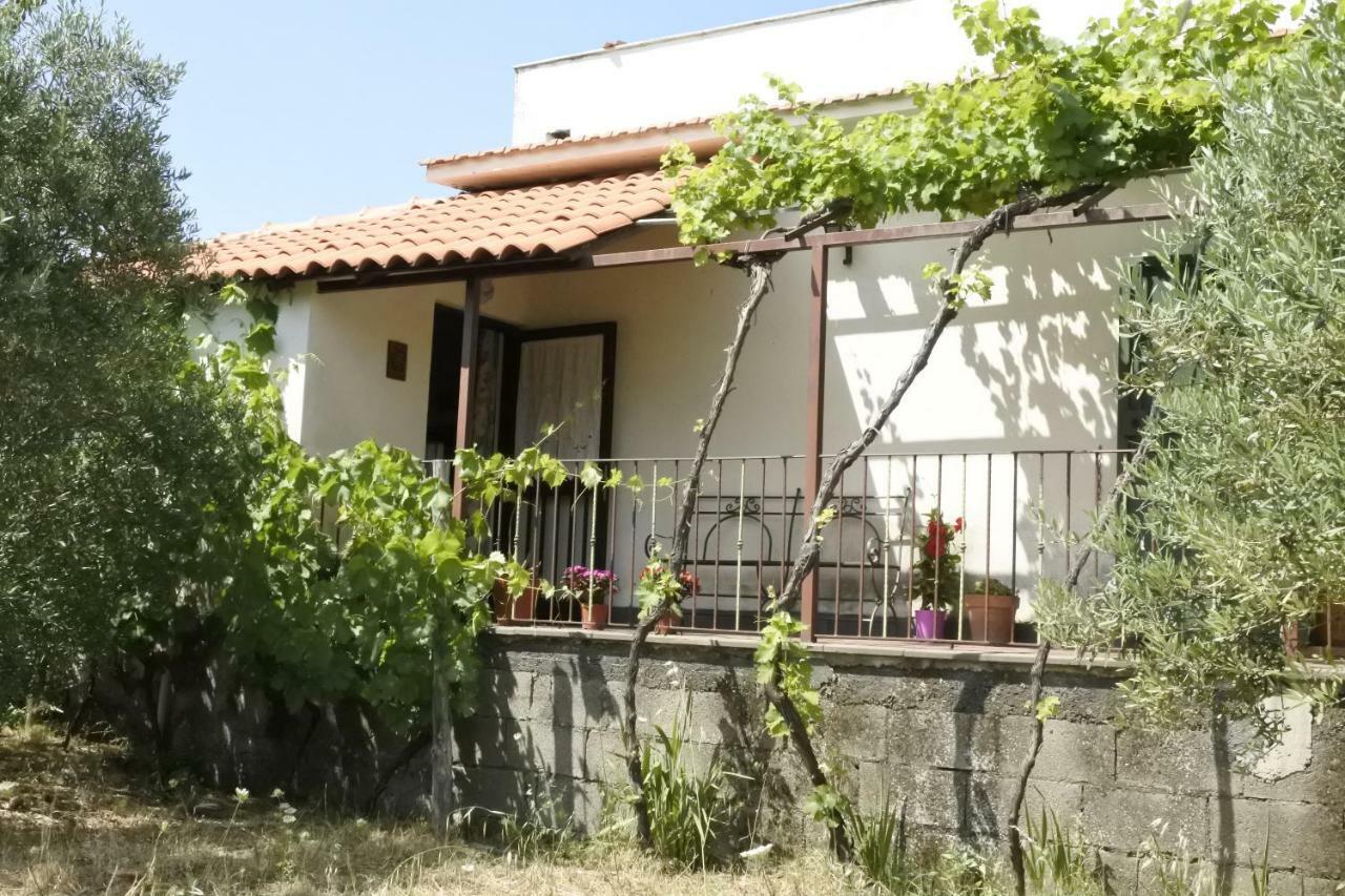 Casa Vacanza Etna Evergreen Villa Piedimonte Etneo Ngoại thất bức ảnh