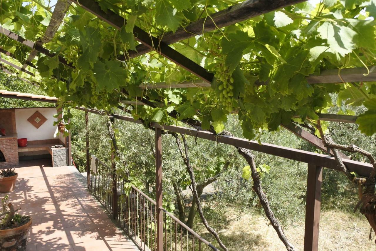 Casa Vacanza Etna Evergreen Villa Piedimonte Etneo Ngoại thất bức ảnh